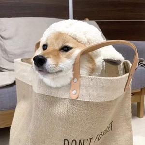 五月天综合网亚洲综合天堂网
