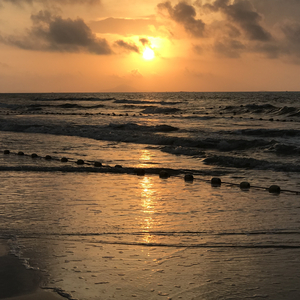 五月天综合网亚洲综合天堂网
